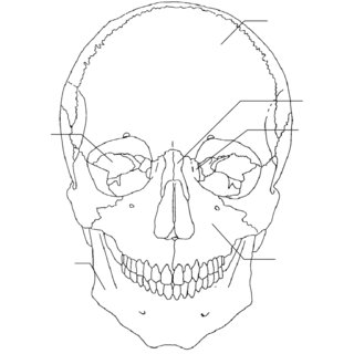 Course Image Antropologia