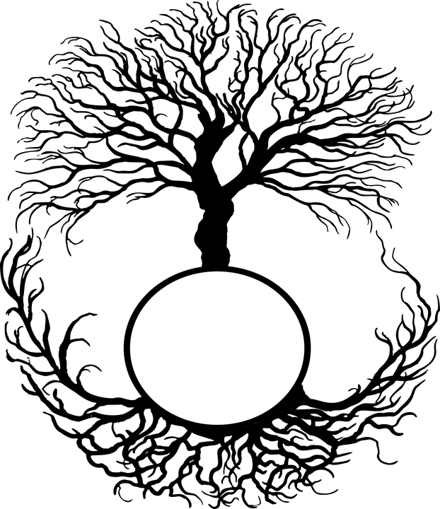 Course Image Biomedyczne podstawy rozwoju i adaptacji, BW I rok, 2020/2021