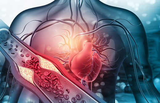 Course Image Anatomia