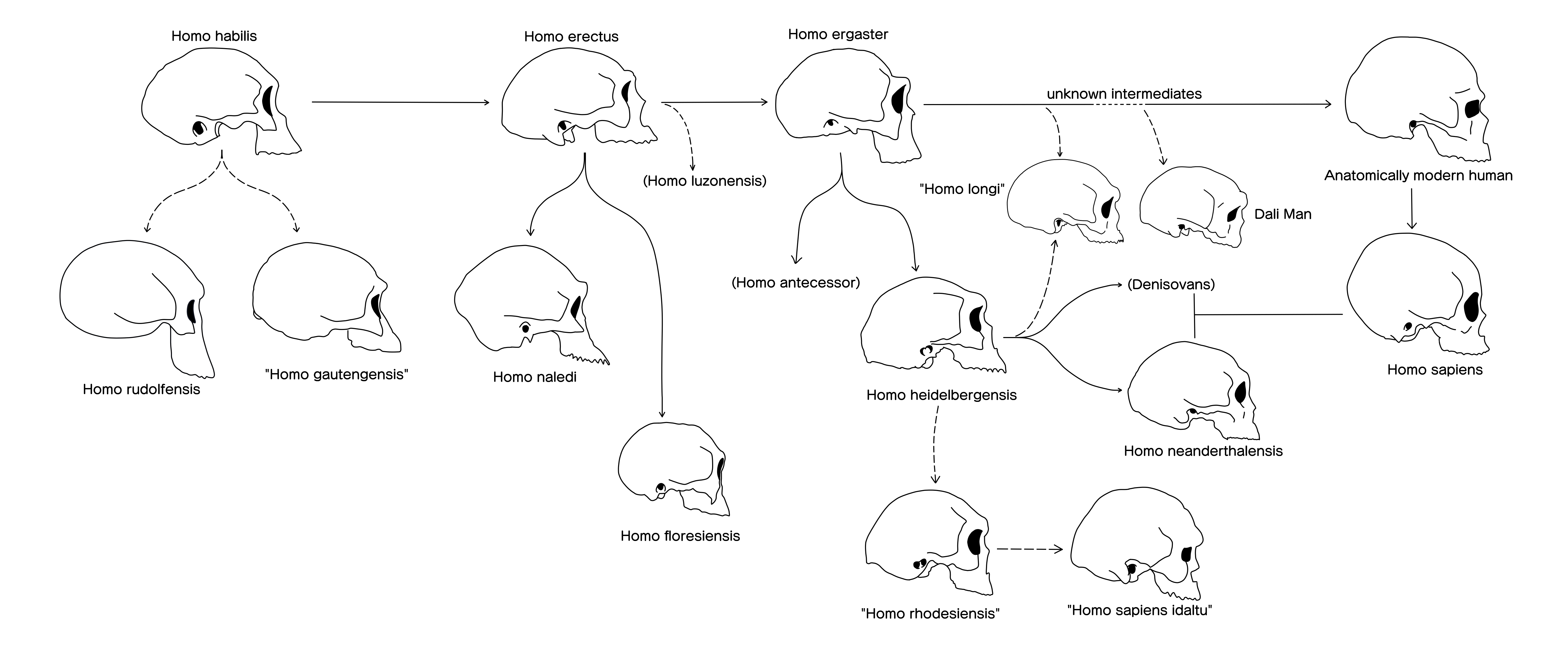 Course Image Historia żywienia i kuchnie Świata