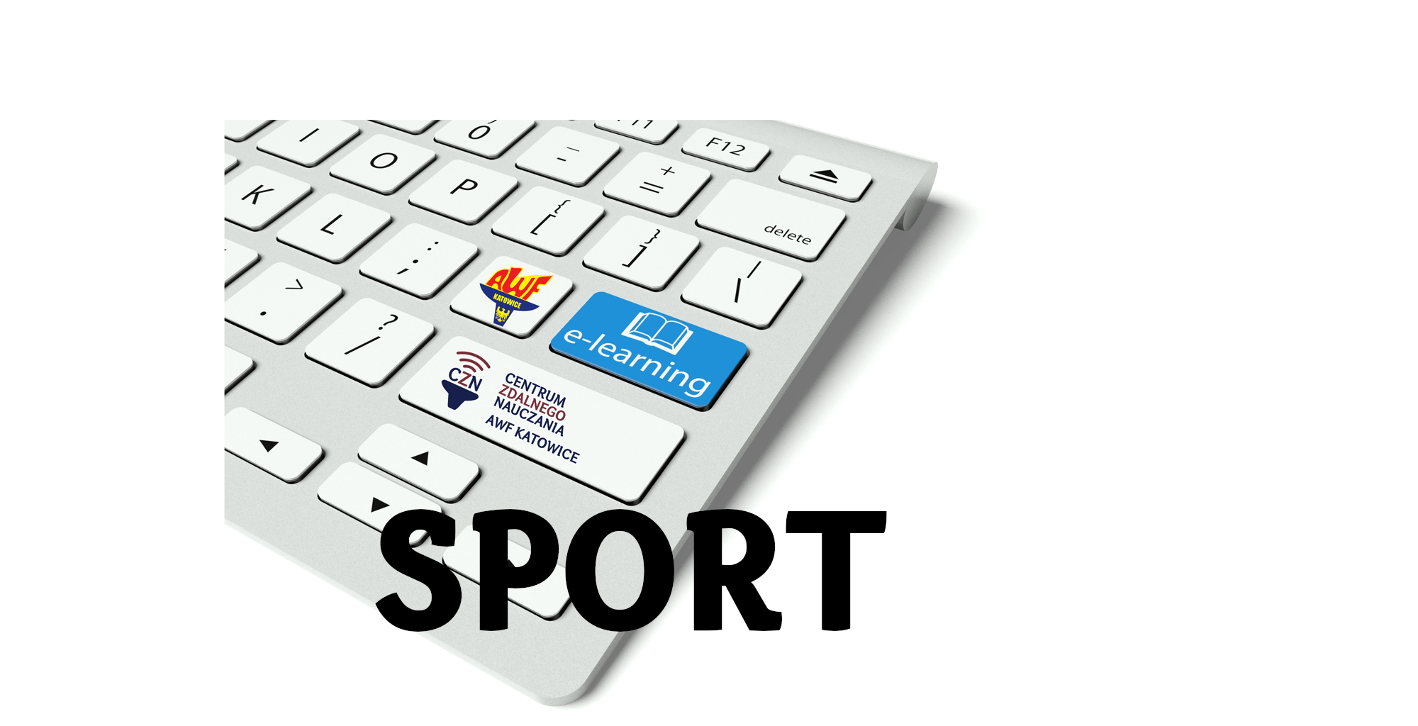 Course Image Podstawy nauczania na odległość SPORT 26/27